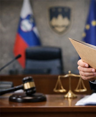 Obvestilo za javnost o vloženi ustavni pritožbi v zvezi s postopkom...